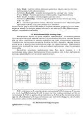 IP maršrutizacija 17 puslapis