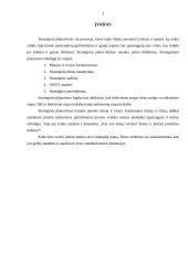 Įmonės rinkodaros strateginis planas: nekilnojamojo turto bendrovė "Ober-hause" 3 puslapis