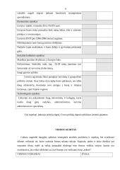 Įmonės rinkodaros strateginis planas: nekilnojamojo turto bendrovė "Ober-hause" 6 puslapis