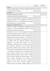 Įmonės rinkodaros strateginis planas: nekilnojamojo turto bendrovė "Ober-hause" 7 puslapis