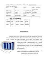 Įmonės rinkodaros strateginis planas: nekilnojamojo turto bendrovė "Ober-hause" 8 puslapis