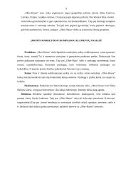 Įmonės rinkodaros strateginis planas: nekilnojamojo turto bendrovė "Ober-hause" 9 puslapis