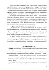 Jaunimo socializacijos problemos Lietuvoje 2 puslapis