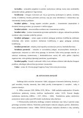 Jaunimo socializacijos problemos Lietuvoje 3 puslapis