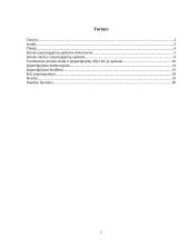 Įmonės skolų ir įsipareigojimų apskaita prekybos įmonėse 2 puslapis