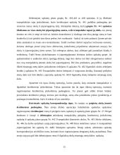 Įmonės skolų ir įsipareigojimų apskaita prekybos įmonėse 12 puslapis