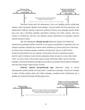 Įmonės skolų ir įsipareigojimų apskaita prekybos įmonėse 13 puslapis