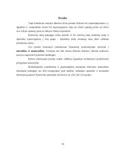 Įmonės skolų ir įsipareigojimų apskaita prekybos įmonėse 19 puslapis