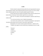 Įmonės skolų ir įsipareigojimų apskaita prekybos įmonėse 3 puslapis