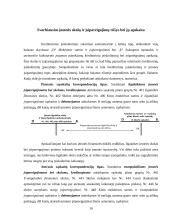 Įmonės skolų ir įsipareigojimų apskaita prekybos įmonėse 10 puslapis