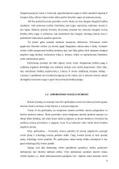 Įmonės steigimas ir verslo organizavimas: braškių auginimas 6 puslapis