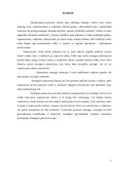 Įmonės strateginis valdymas: AB "Lietuvos draudimas" 2 puslapis