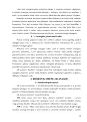 Įmonės strateginis valdymas: AB "Lietuvos draudimas" 13 puslapis