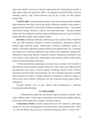 Įmonės strateginis valdymas: AB "Lietuvos draudimas" 17 puslapis