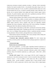Įmonės strateginis valdymas: AB "Lietuvos draudimas" 20 puslapis