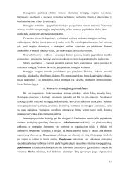 Įmonės strateginis valdymas: AB "Lietuvos draudimas" 10 puslapis