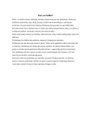 Kalba. Kalbėjimas. Kalbos sandara, funkcijos. Mąstymas ir kalba 3 puslapis