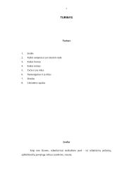 Kaltės turinys ir jo nustatymas 2 puslapis