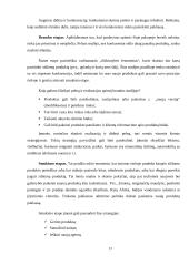 Įmonės turizmo produkto tobulinimas: UAB "Fiji Travel" 13 puslapis