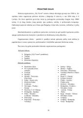 Įmonės turizmo produkto tobulinimas: UAB "Fiji Travel" 18 puslapis