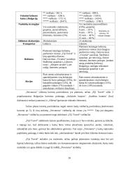 Įmonės turizmo produkto tobulinimas: UAB "Fiji Travel" 20 puslapis