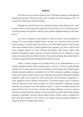 Įmonės turizmo produkto tobulinimas: UAB "Fiji Travel" 3 puslapis