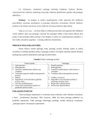 Įmonės turizmo produkto tobulinimas: UAB "Fiji Travel" 6 puslapis