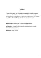 Kelionių agentūrų ir kelionių organizatorių teikiamų paslaugų problemos 2 puslapis