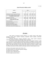 Įmonės ūkinės veiklos ataskaita: "Prometėjas" 17 puslapis