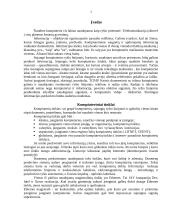 Kompiuterių tinklai ir internetas 3 puslapis