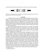 Kompiuterių tinklai ir internetas 5 puslapis