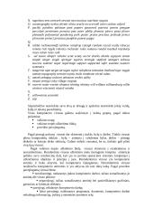 Kompiuterių informaciniai virusai 4 puslapis