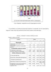 Įmonės ūkinės veiklos ataskaita: "Trys riešutėliai" 13 puslapis