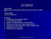 Įmonės valdymo analizė 2 puslapis