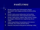 Įmonės valdymo analizė 12 puslapis