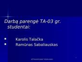 Įmonės valdymo analizė 13 puslapis