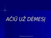 Įmonės valdymo analizė 14 puslapis