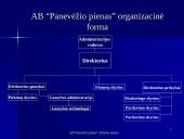 Įmonės valdymo analizė 5 puslapis