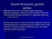 Įmonės valdymo analizė 9 puslapis