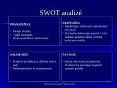 Įmonės valdymo analizė 10 puslapis