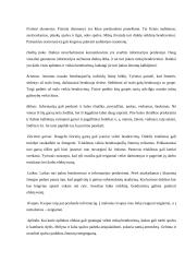 Komunikaciniai barjerai 13 puslapis