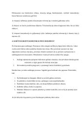 Komunikaciniai barjerai 15 puslapis