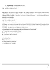 Komunikaciniai barjerai 8 puslapis
