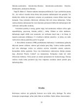 Įmonės valdymo analizė: "Boxmore plastics limited" 20 puslapis