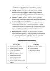 Konfliktai 14 puslapis