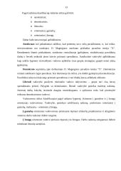Įmonės valdymo analizė: AB "Lietuvos dujos" 13 puslapis