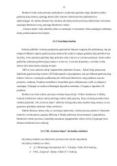 Įmonės valdymo analizė: AB "Lietuvos dujos" 15 puslapis
