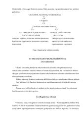 Įmonės valdymo analizė: AB "Lietuvos dujos" 17 puslapis