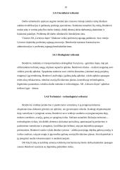 Įmonės valdymo analizė: AB "Lietuvos dujos" 19 puslapis
