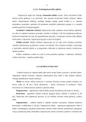 Įmonės valdymo analizė: AB "Lietuvos dujos" 9 puslapis